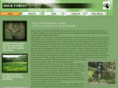 buckforest.net