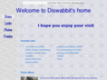 diswabbit.com