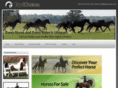 equichoices.com
