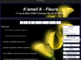 kamelia-fleurs.com