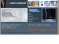 signetengineers.com