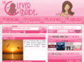 thecleverbride.net