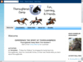thoroughbredcamp.org