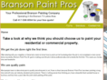 bransonpaintpros.com