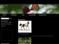 foxtailstables.com
