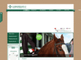lidafashion.com