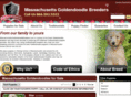 massachusettsgoldendoodlebreeders.com