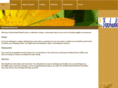beachwalkcenter.com