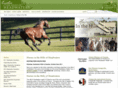 equineinthehills.com