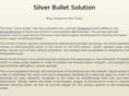 silverbulletsolution.com