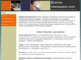 bosnianinterpreters.com