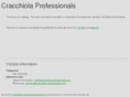 cracchiola-professionals.com
