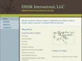 dnskinternational.com