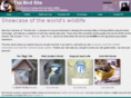 thebirdsite.co.uk
