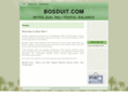 bosduit.com