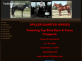 fastbarrelhorses.com