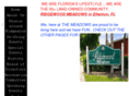 floridaridgewoodmeadows.com