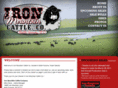 ironmountaincattle.com