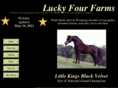 luckyfourfarms.com