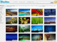 walltor.com