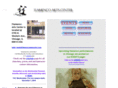 flamencoartscenter.com