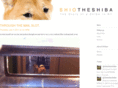 shiotheshiba.com