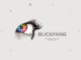 blickfang-aachen.com