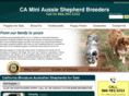 caminiaussieshepherdbreeders.com