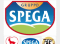 gruppospega.info