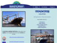 nmshou.com