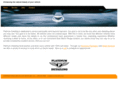 platinumdetailingonline.com