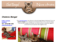 chatonsbengal.com