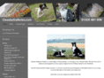 cleasbygalleries.com