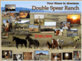 dsranch.com