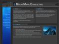 mountmarsconsulting.com