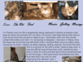 prestonthebengal.com