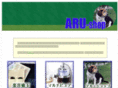 aru-shop.com