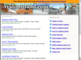 avalonisland.com