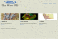 bluewatergis.com