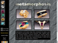 metamorphosisdesign.com