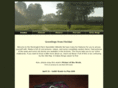 newsletterfl.com