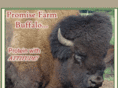 promisefmbuffalo.com