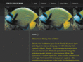 strictlyfishmiami.com