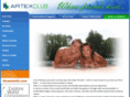 artexclub.com