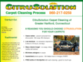citrusolutionofgreaterhartford.com