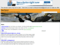 seaparrots.com