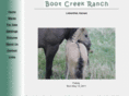 bootcreekranch.com