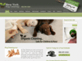 new-york-rug-cleaning.com