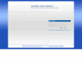 synvsn.com