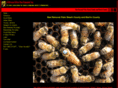 aafricankillerbee.com